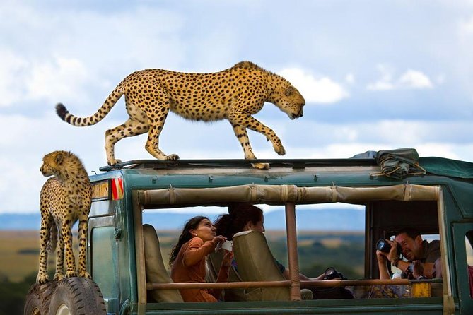 Kenya Explorer Safari